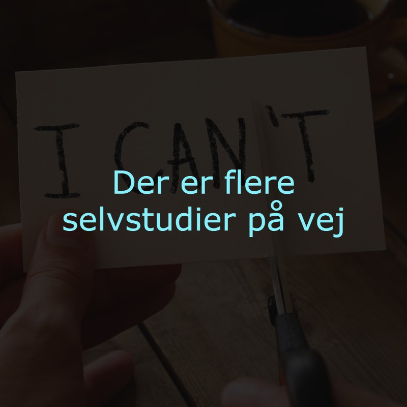 Der er flere selvsstudier på vej