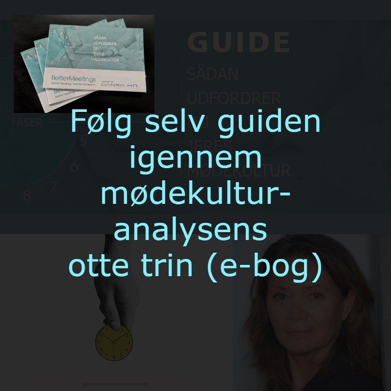 Følg selv guiden